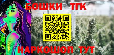 дмт Моздок