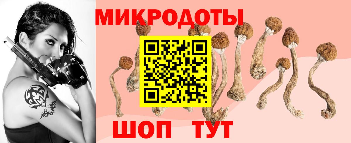 Татарск  Псилоцибиновые грибы Cubensis  Вход с VPN 